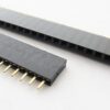 40 Pin Single Row Female 2.54mm Pin Header Connector Strip - MegaEshop.PK