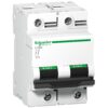 Schneider C120H-DC -2P -100Ampare - C curve DC Contactors - Miniature Circuit Breaker - MegaEshop.PK